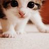 等着我